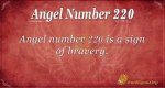 Angel Number 220 Meaning: Long Term Goal