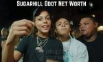 Unveiling Sugar Hill Ddot's Net Worth: Discoveries and Insights
